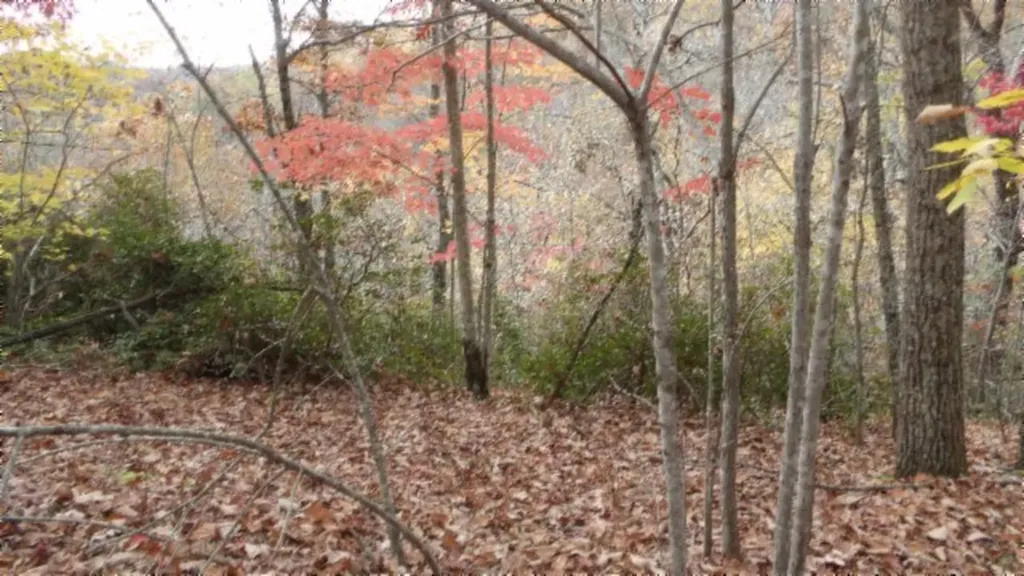 Lot 349 Drew Court Smithville TN 37166