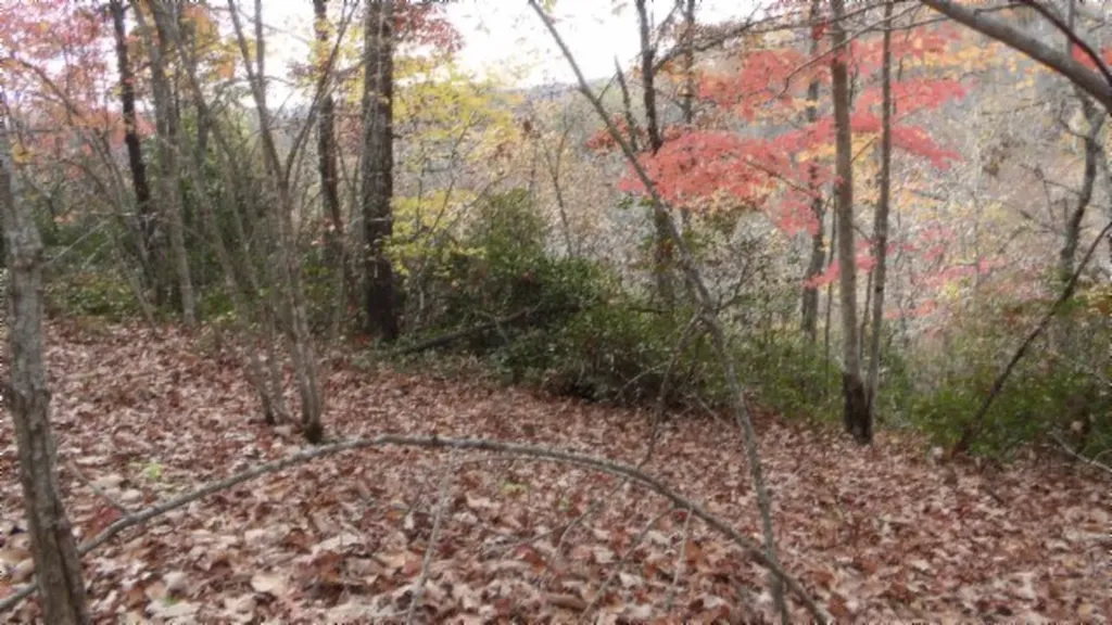 Lot 349 Drew Court Smithville TN 37166