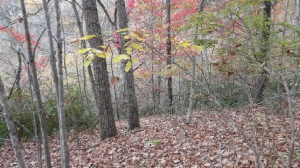 Lot 349 Drew Court Smithville TN 37166