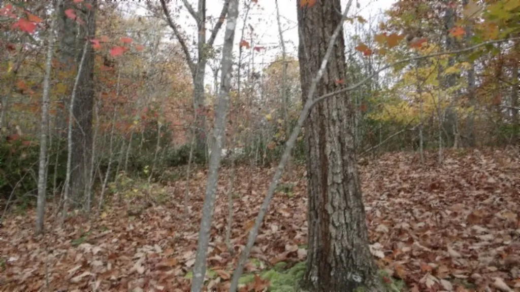 Lot 349 Drew Court Smithville TN 37166