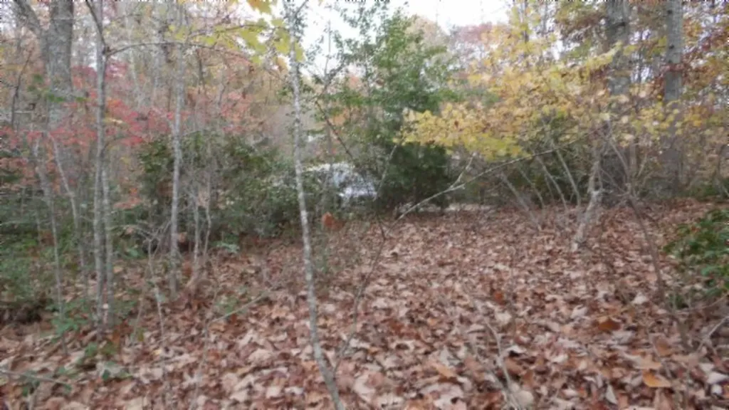 Lot 349 Drew Court Smithville TN 37166
