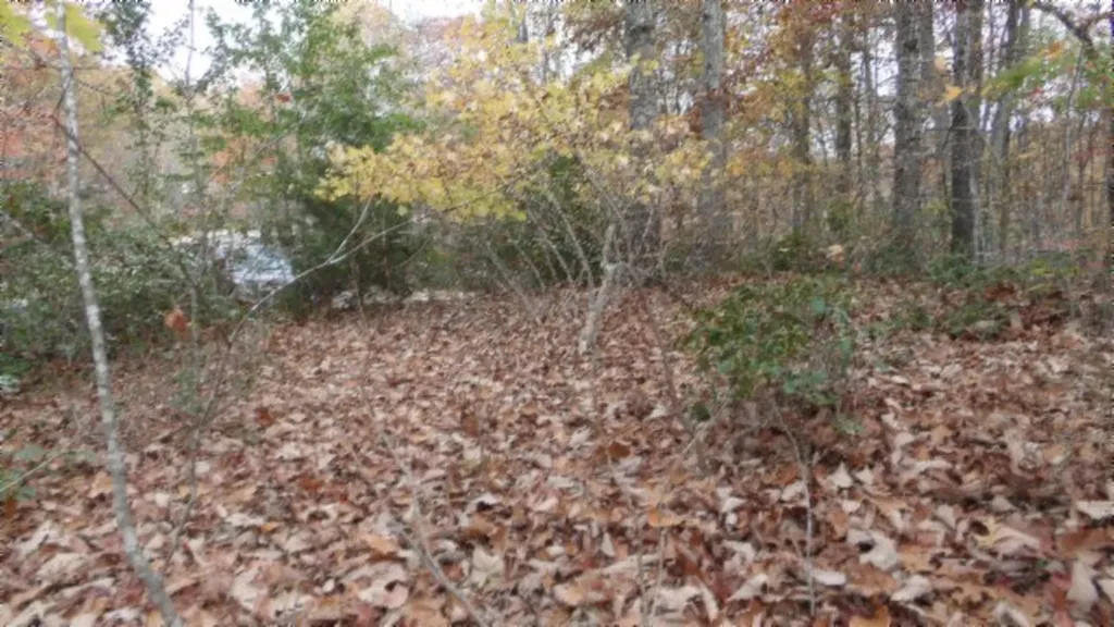 Lot 349 Drew Court Smithville TN 37166