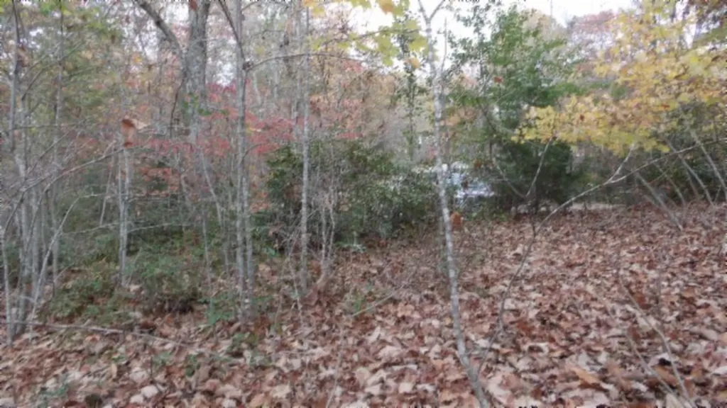 Lot 349 Drew Court Smithville TN 37166