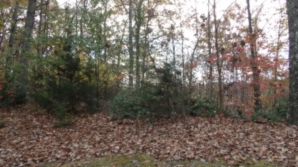 Lot 349 Drew Court Smithville TN 37166