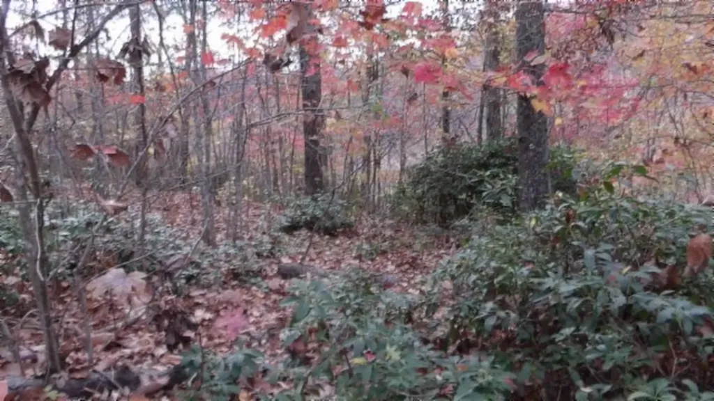 Lot 349 Drew Court Smithville TN 37166
