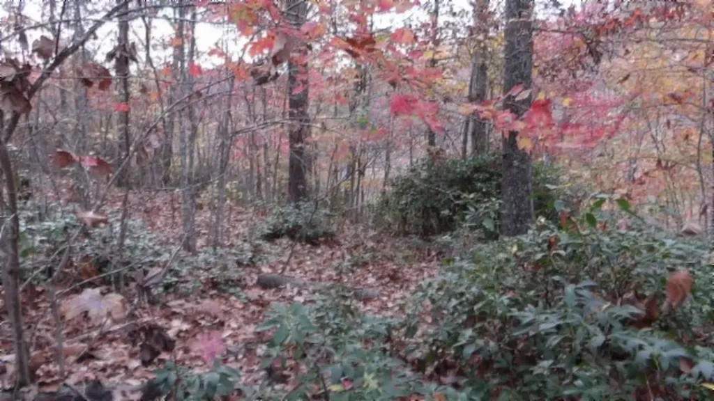 Lot 349 Drew Court Smithville TN 37166