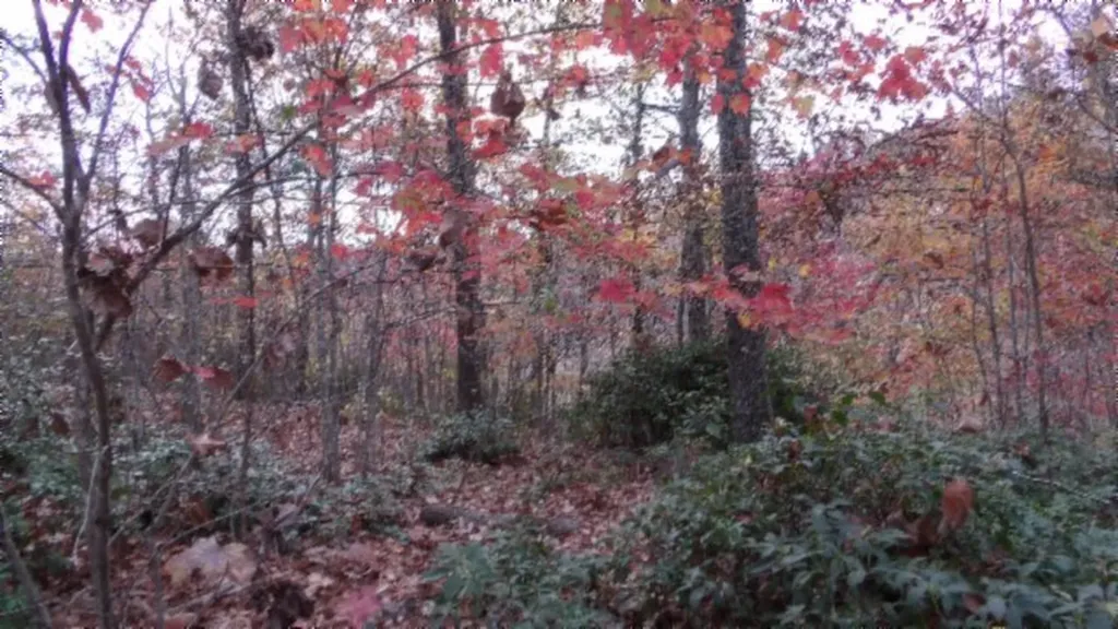 Lot 349 Drew Court Smithville TN 37166