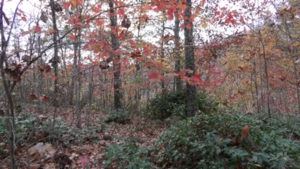 Lot 349 Drew Court Smithville TN 37166