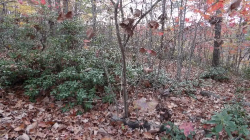 Lot 349 Drew Court Smithville TN 37166