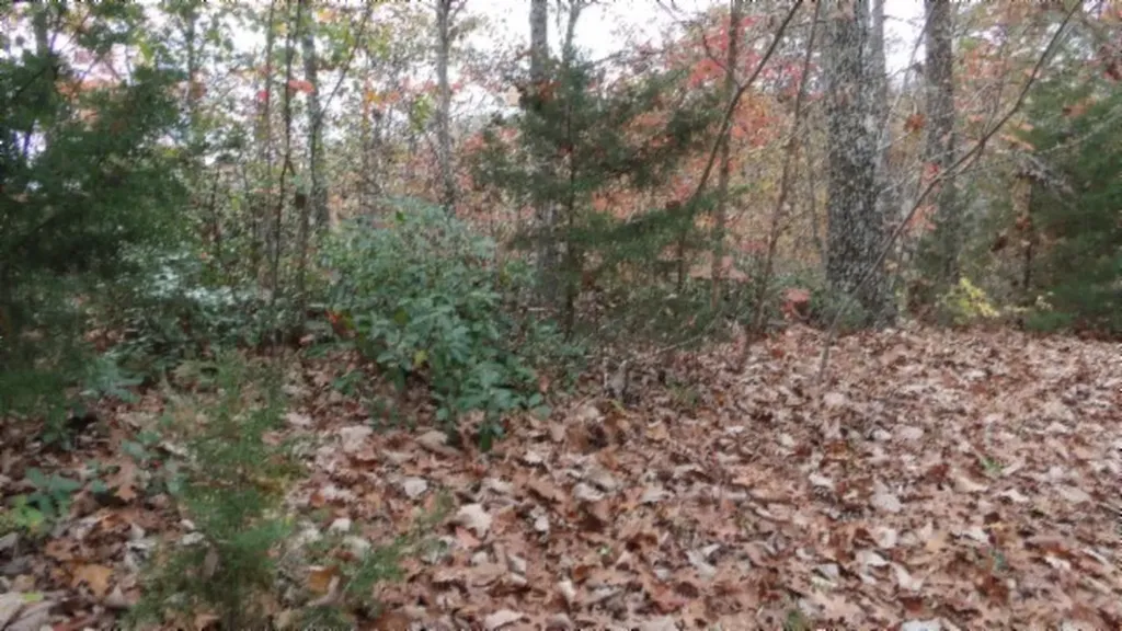 Lot 349 Drew Court Smithville TN 37166