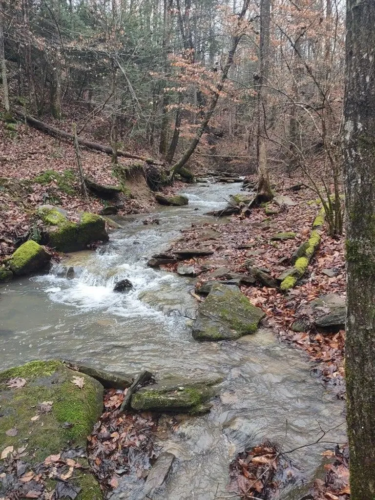 14914 Peach Stone Road Crawford TN 38554
