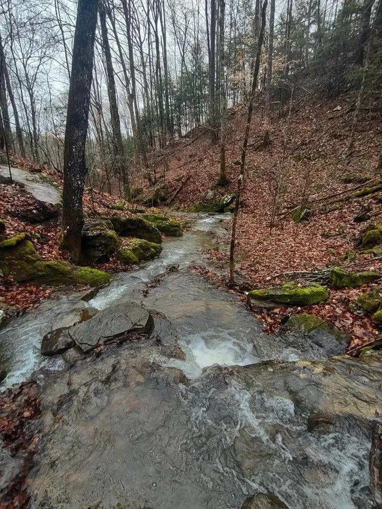 14914 Peach Stone Road Crawford TN 38554
