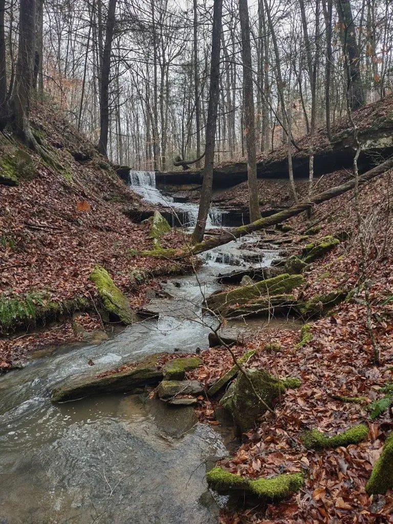 14914 Peach Stone Road Crawford TN 38554