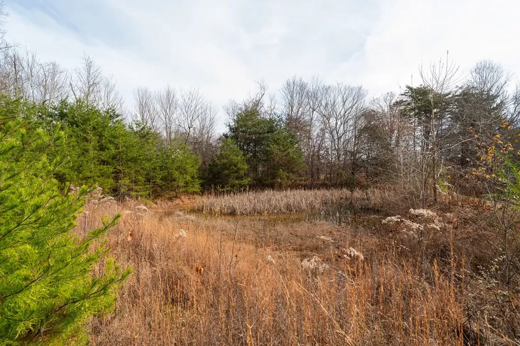 351 Mabry School Road Cookeville TN 38501