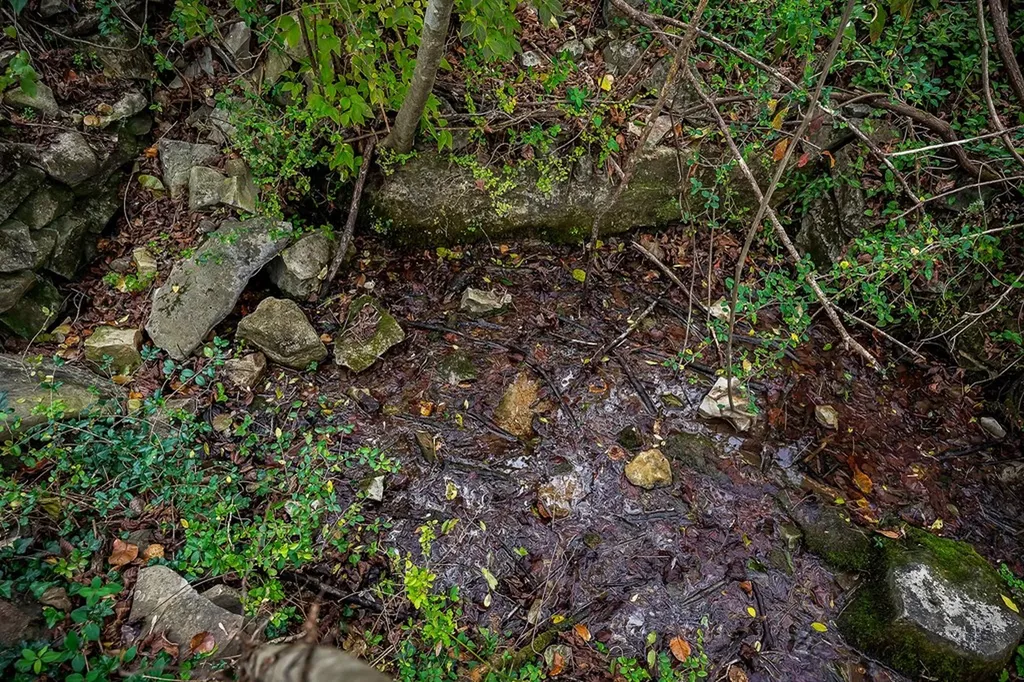 301 W Everett Street Sparta TN 38583