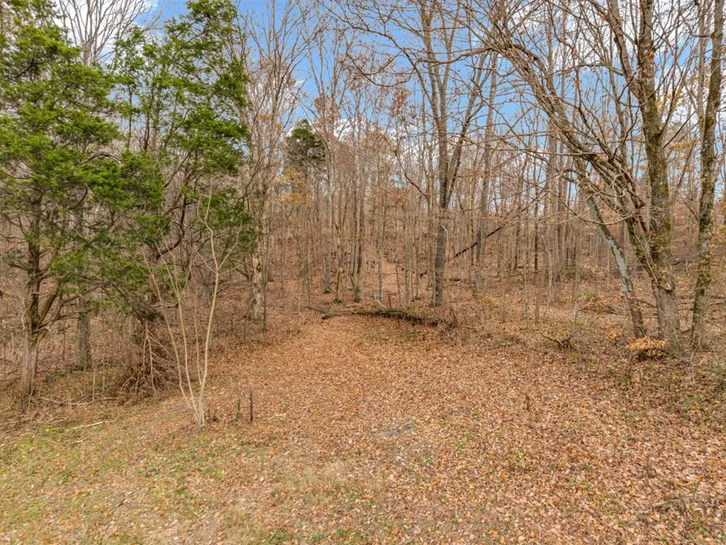 4934 N York Highway Pall Mall TN 38577