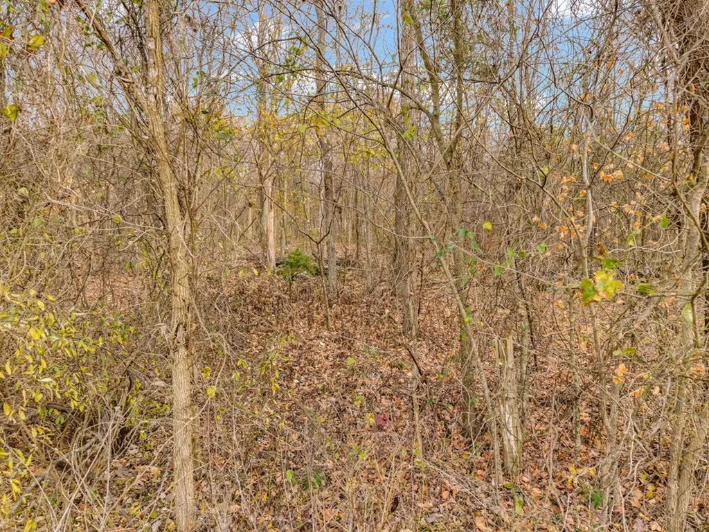 4934 N York Highway Pall Mall TN 38577