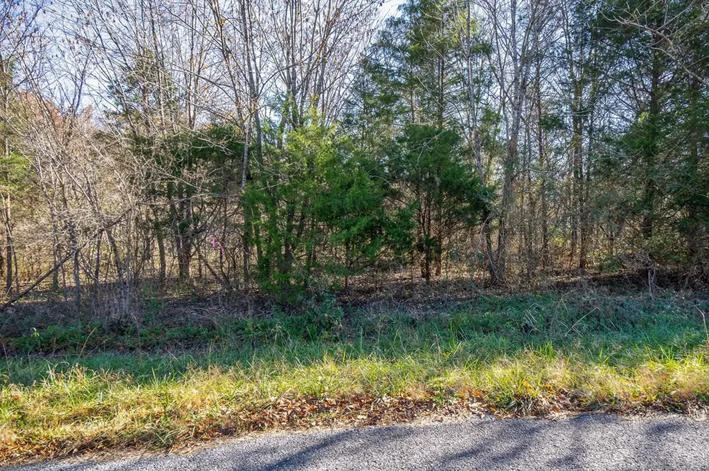 0 E Bethlehem Road Sparta TN 38583