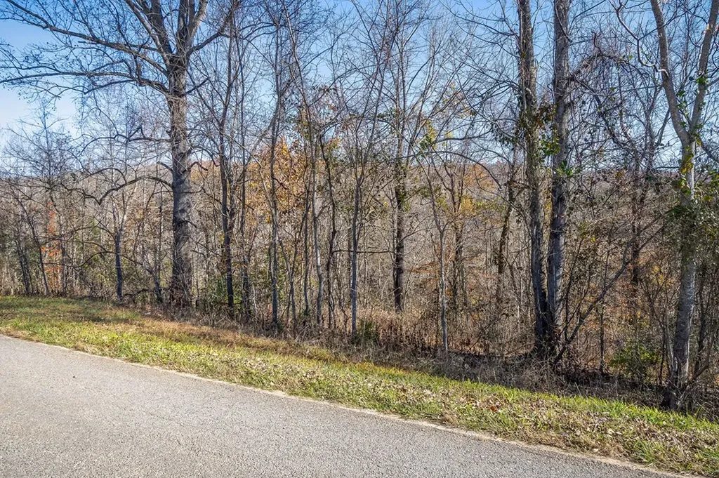 0 E Bethlehem Road Sparta TN 38583