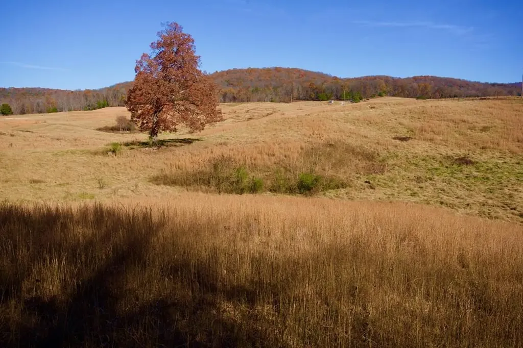 Tract 7 West Of Barlow Road Rock Island TN 38581
