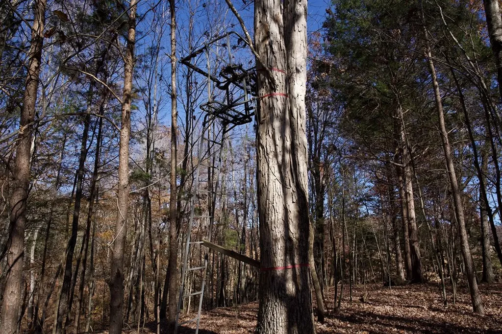 Tract 7 West Of Barlow Road Rock Island TN 38581