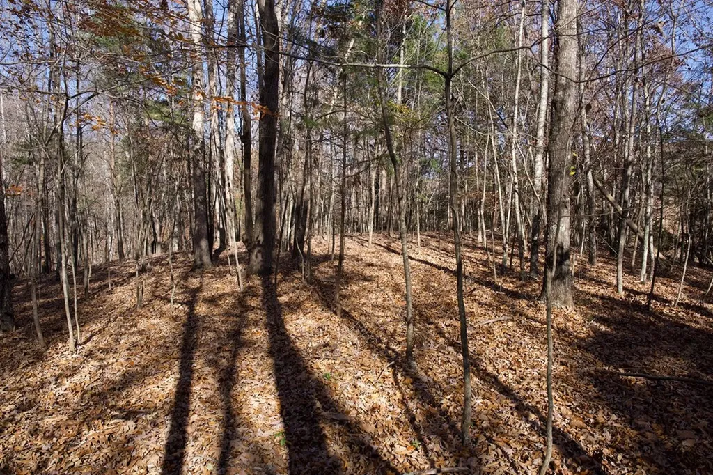 Tract 7 West Of Barlow Road Rock Island TN 38581