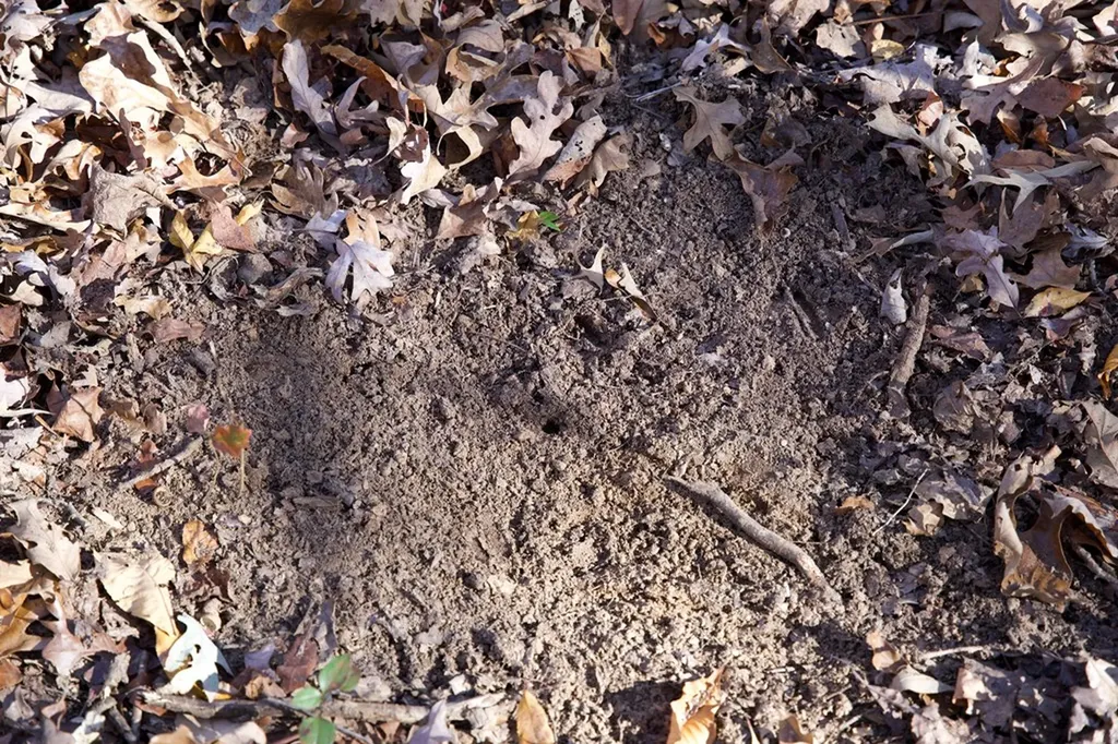 Tract 7 West Of Barlow Road Rock Island TN 38581
