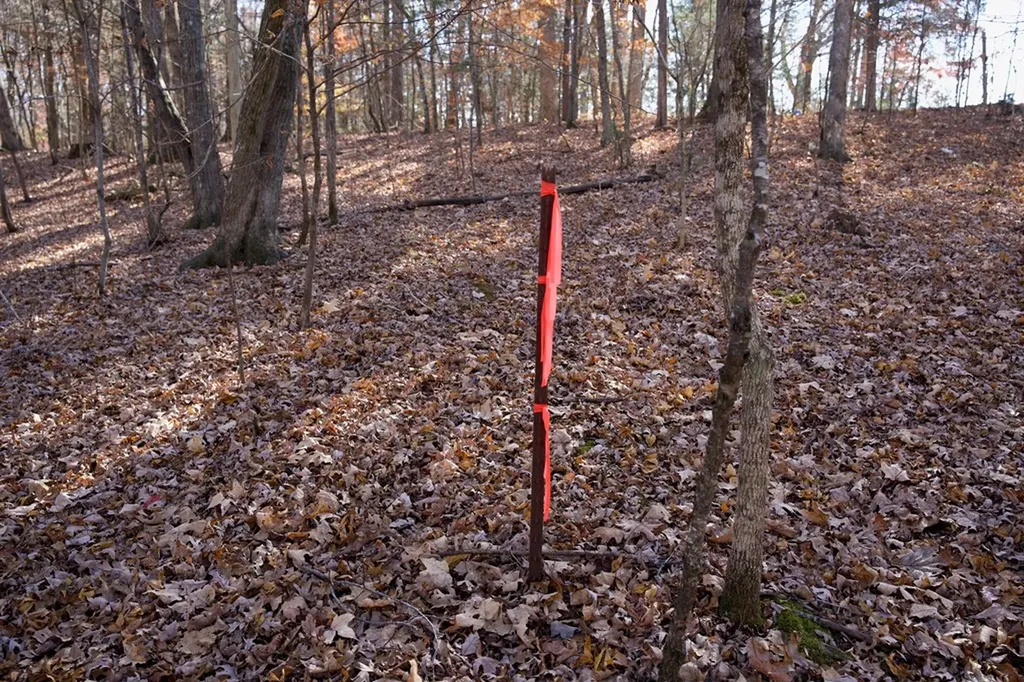 Tract 7 West Of Barlow Road Rock Island TN 38581