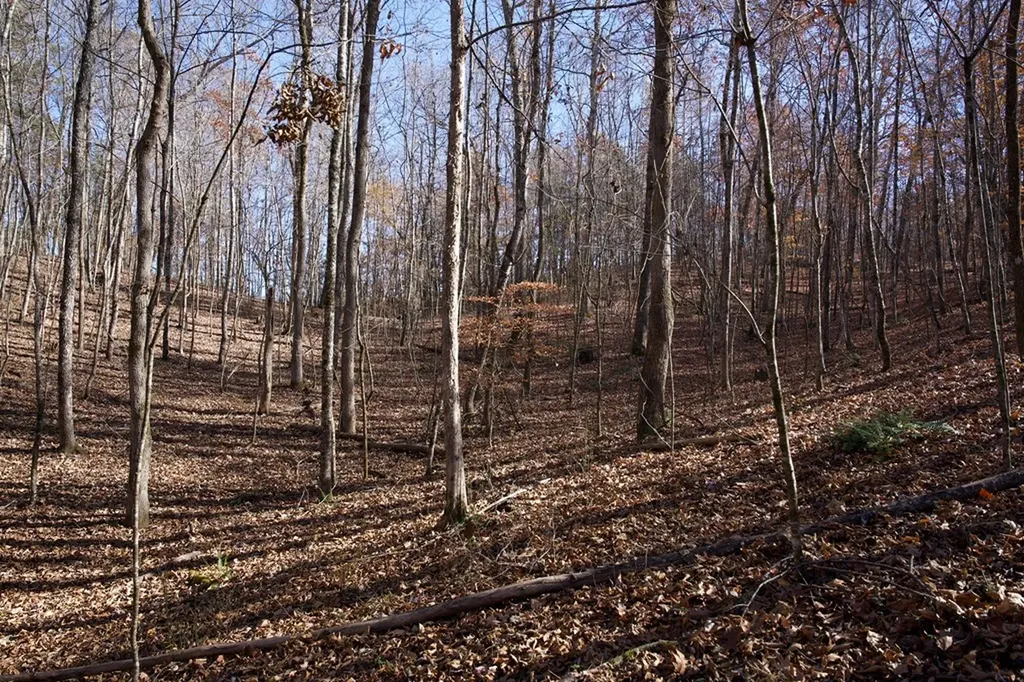Tract 7 West Of Barlow Road Rock Island TN 38581