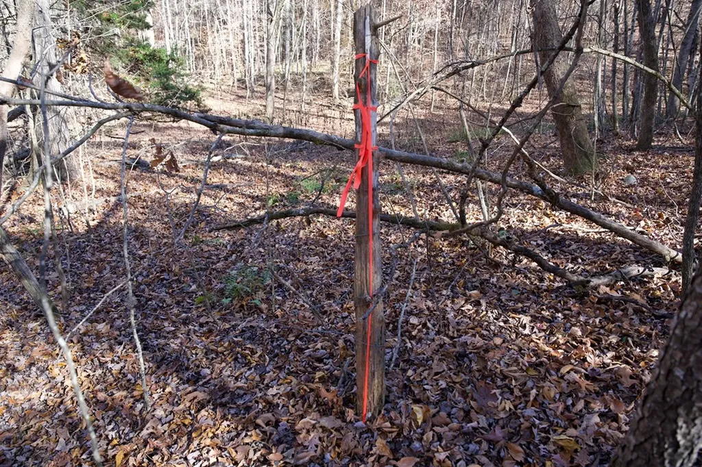 Tract 7 West Of Barlow Road Rock Island TN 38581