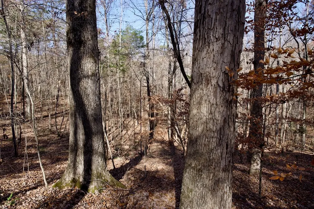 Tract 7 West Of Barlow Road Rock Island TN 38581