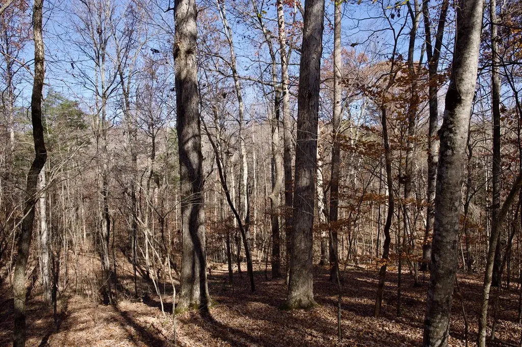 Tract 7 West Of Barlow Road Rock Island TN 38581