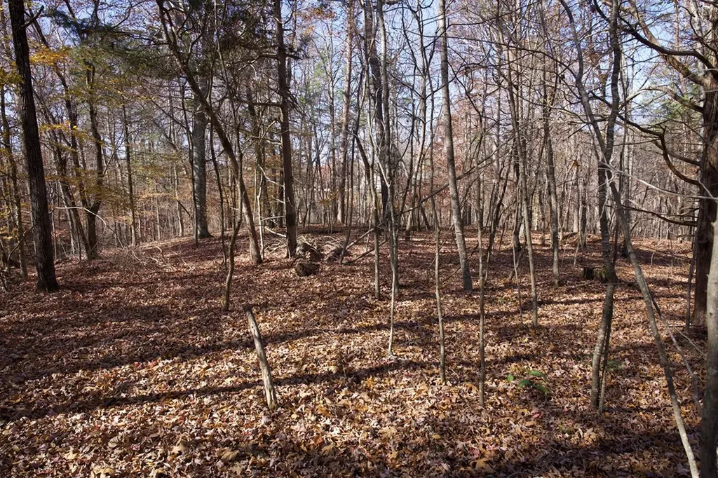 Tract 7 West Of Barlow Road Rock Island TN 38581