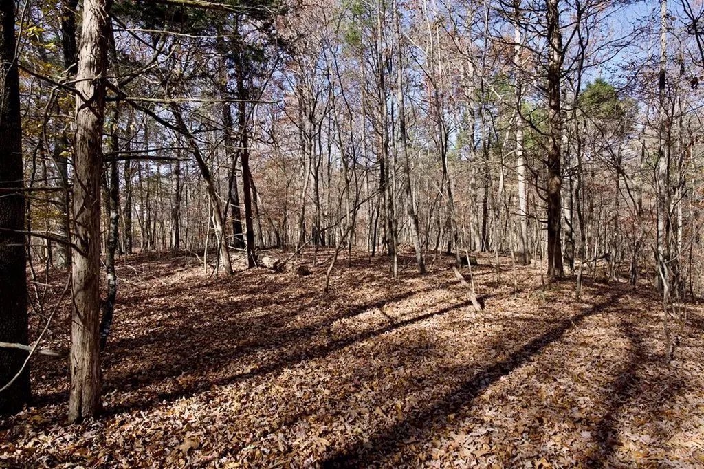 Tract 7 West Of Barlow Road Rock Island TN 38581