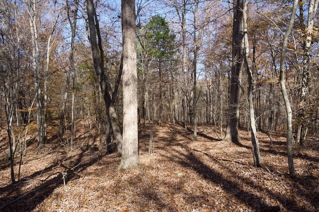 Tract 7 West Of Barlow Road Rock Island TN 38581