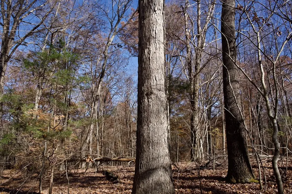 Tract 7 West Of Barlow Road Rock Island TN 38581