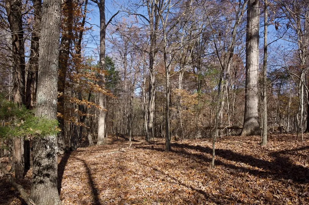Tract 7 West Of Barlow Road Rock Island TN 38581