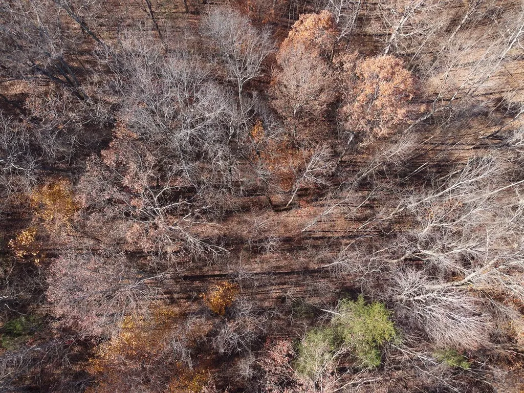 Tract 7 West Of Barlow Road Rock Island TN 38581