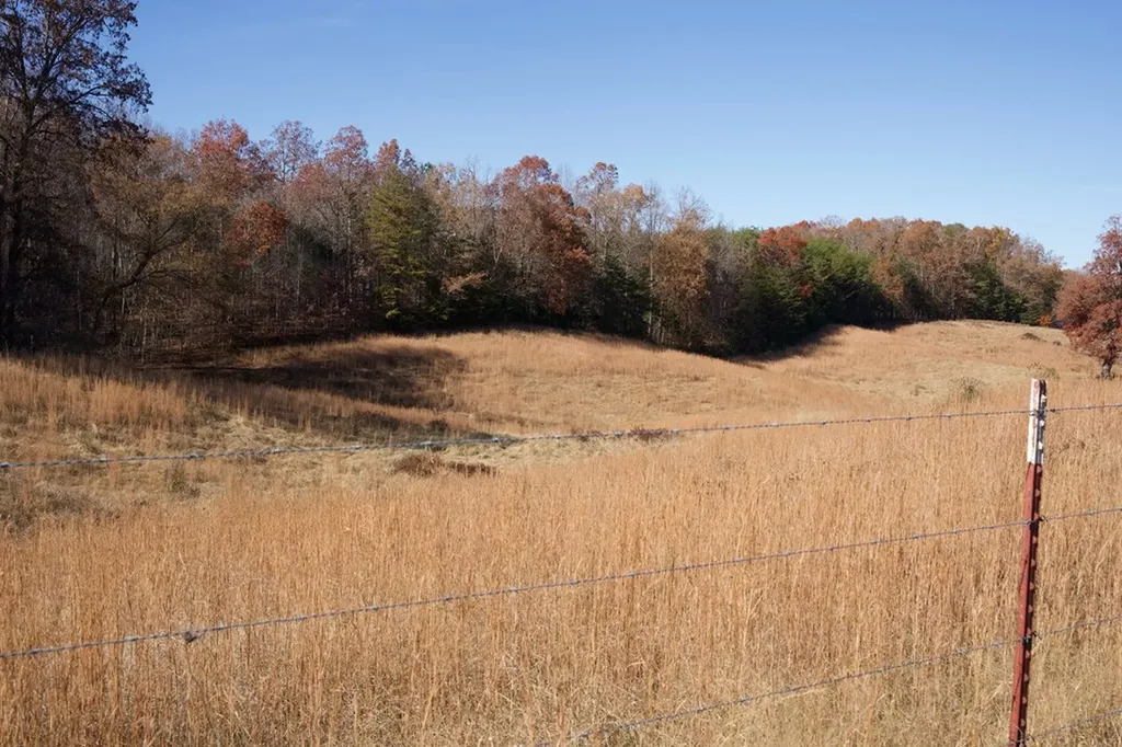 Tract 7 West Of Barlow Road Rock Island TN 38581