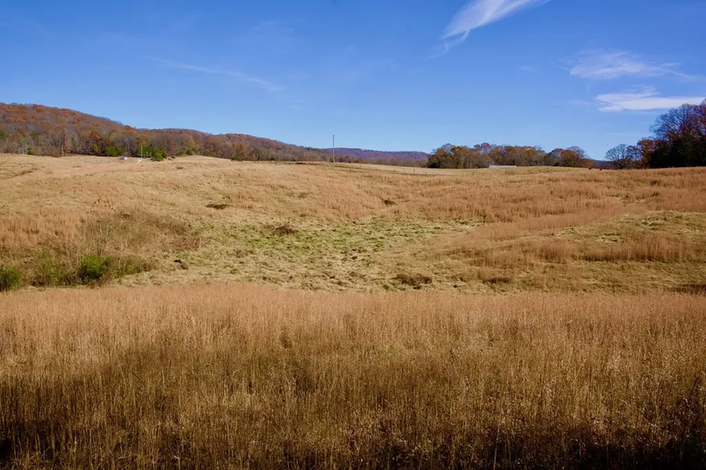 Tract 7 West Of Barlow Road Rock Island TN 38581