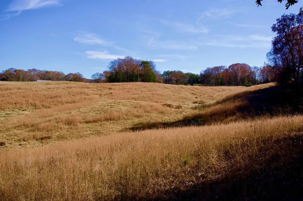 Tract 7 West Of Barlow Road Rock Island TN 38581