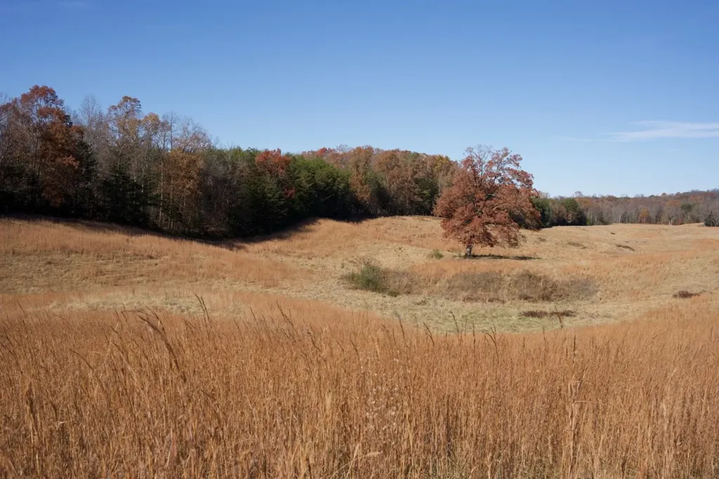 Tract 7 West Of Barlow Road Rock Island TN 38581