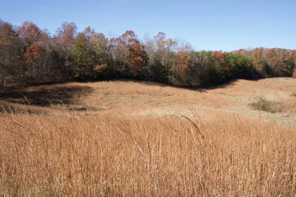 Tract 7 West Of Barlow Road Rock Island TN 38581