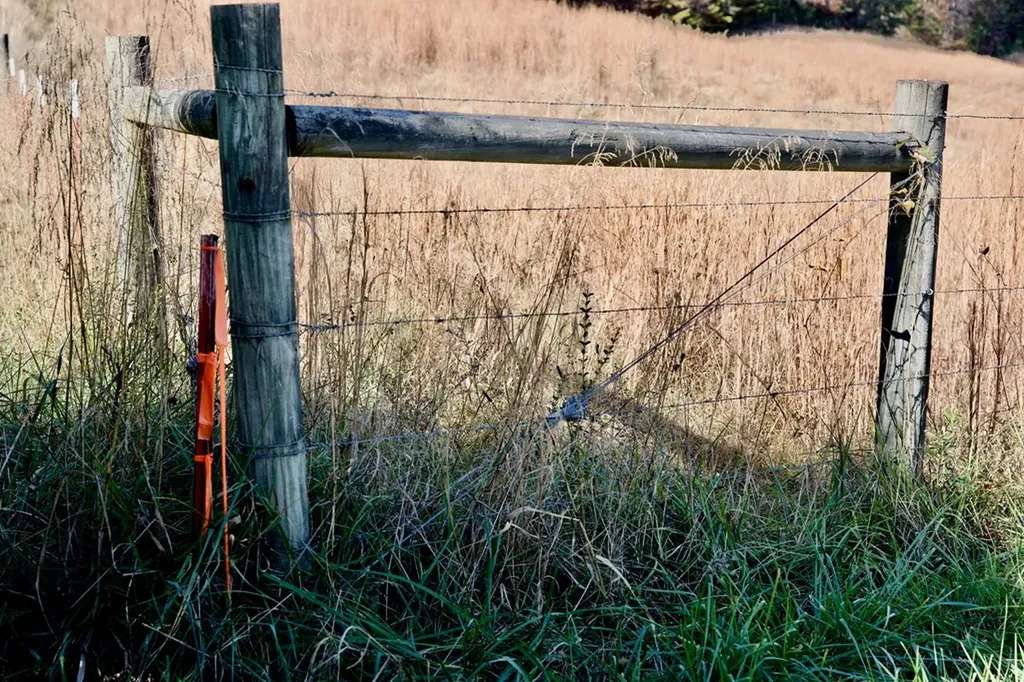 Tract 7 West Of Barlow Road Rock Island TN 38581