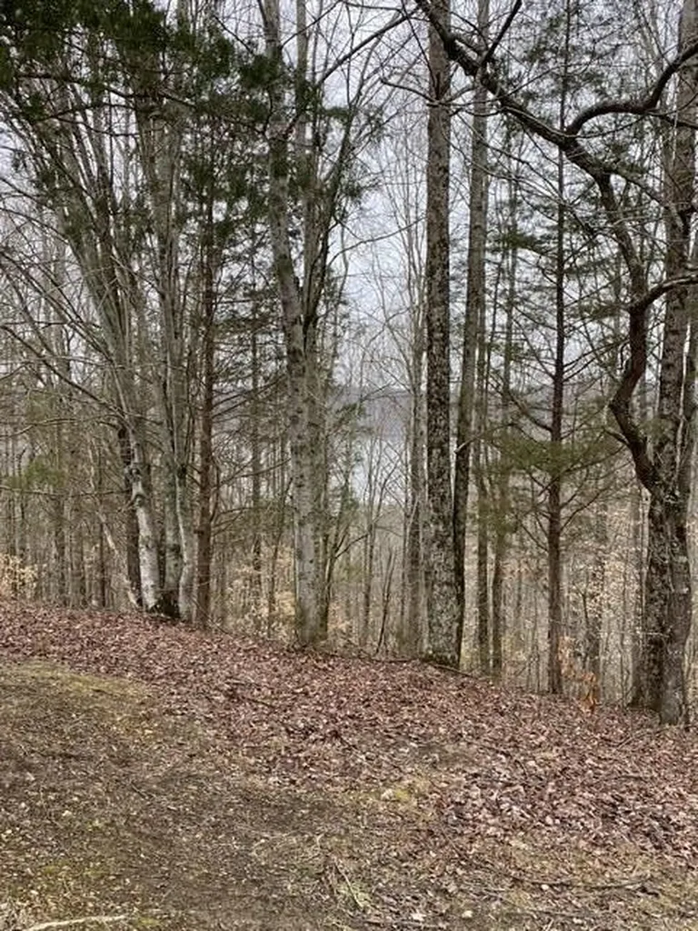 13.31 Ac Austin Ridge Road Baxter TN 38544