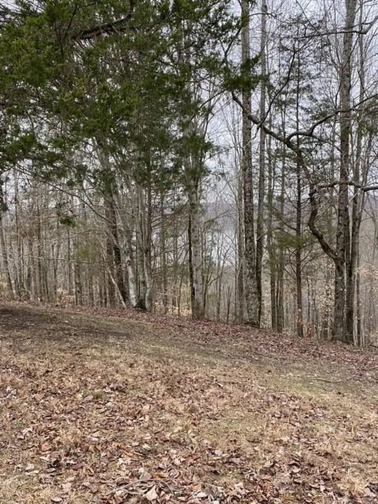 13.31 Ac Austin Ridge Road Baxter TN 38544