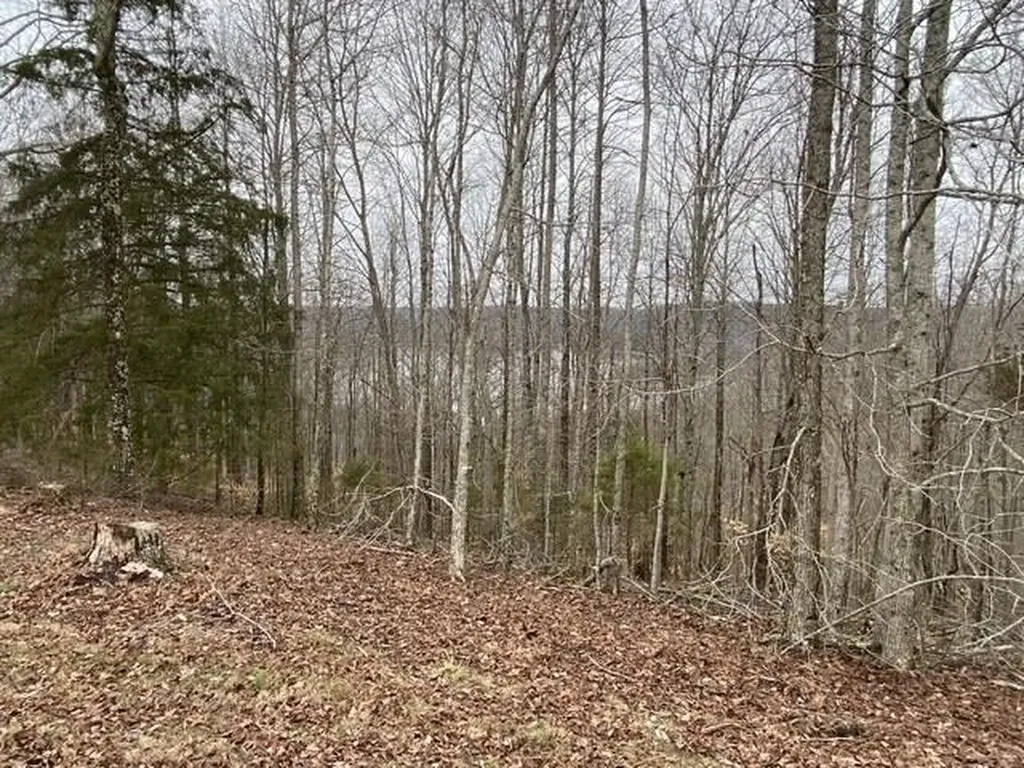 13.31 Ac Austin Ridge Road Baxter TN 38544