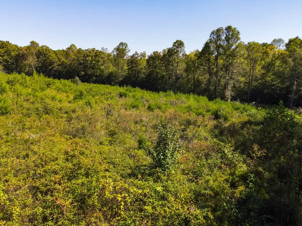 311 Waterloo Road Cookeville TN 38506