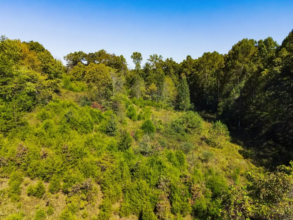 311 Waterloo Road Cookeville TN 38506