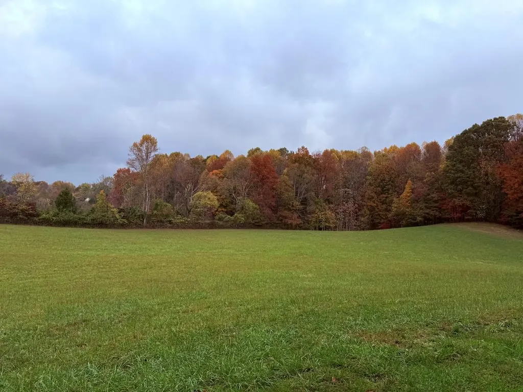 3297 Three Island Road Walling TN 38587